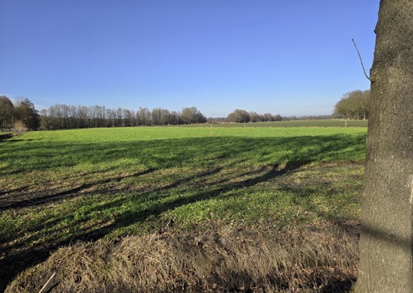 Medium property photo - Koevoortseweg, 5281 SC Boxtel